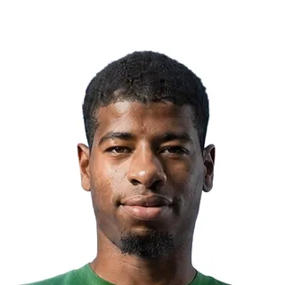 Rayan Lutin